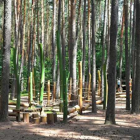 Waldcamping Am Brombachsee Pleinfeld