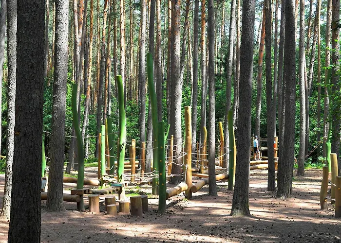 Waldcamping Am Brombachsee Pleinfeld